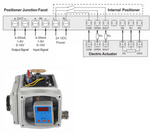 2" NPT Modulating Control Ball Valve